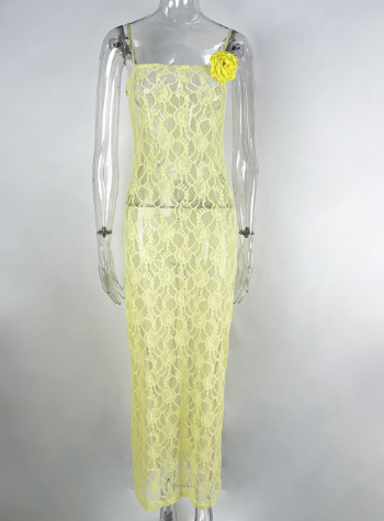 Sling Lace Sheer Slim-fit Sheath Dress